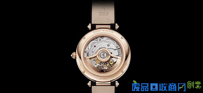 猴年未到 这几只生肖猴表先来讨彩头