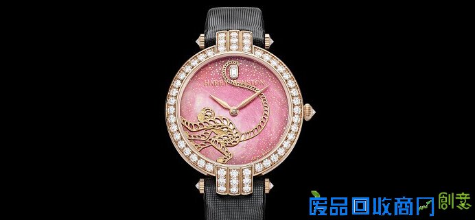 猴年未到 这几只生肖猴表先来讨彩头