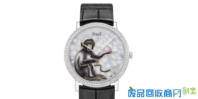 猴年未到 这几只生肖猴表先来讨彩头