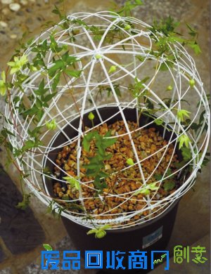 文/见习记者 何斌