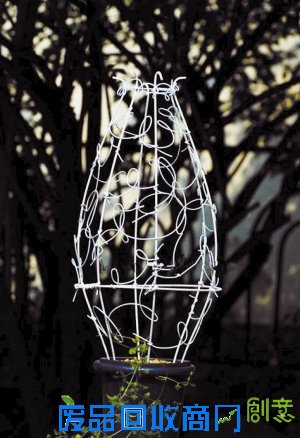 DIY 花架给铁线莲“塑”型