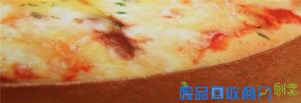  专为吃货设计的披萨枕垫
