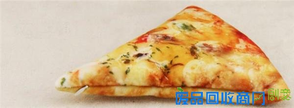  专为吃货设计的披萨枕垫