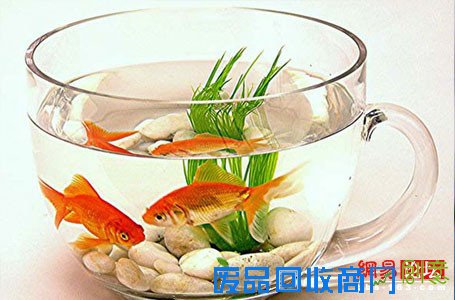 租屋也是家!心思装饰不花钱