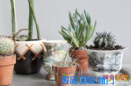 租屋也是家！心思装饰不花钱