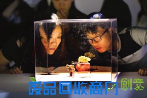 图文：国际当代首饰设计艺术节在天津美术学院开幕