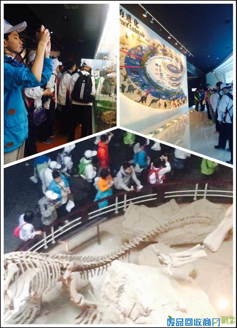 昆明动物博物馆开展昆明分院“彩云之南魅力科学营暨求真科学营”活动