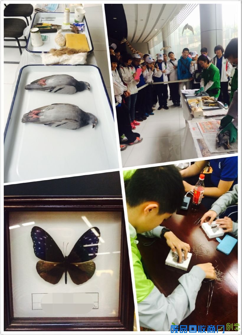 昆明动物博物馆开展昆明分院“彩云之南魅力科学营暨求真科学营”活动