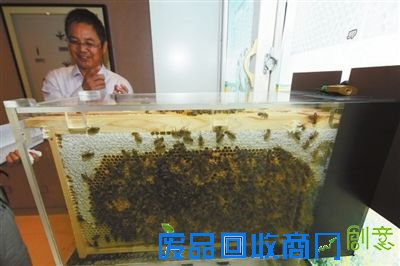 56岁的宁夏昆虫馆免费开放