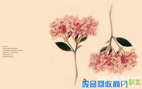 桐华半暖时光经典语录