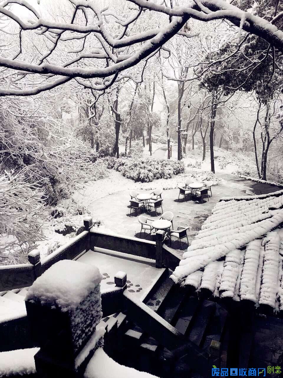 看着照片游杭城，朋友圈杯雪景摄影大赛真是美呆了！