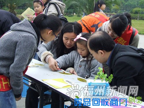 榕家长孩子学习无土栽培 DIY叶子粘贴画其乐无穷(组图)