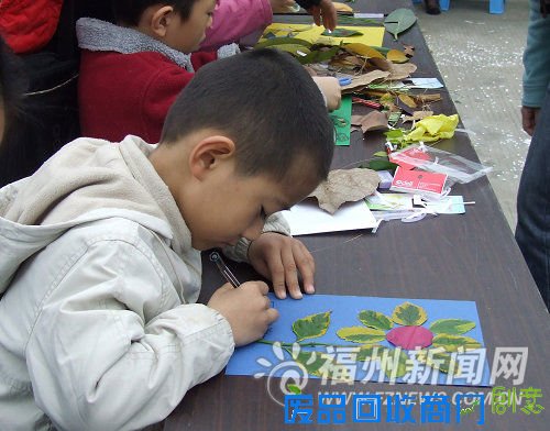 榕家长孩子学习无土栽培 DIY叶子粘贴画其乐无穷(组图)