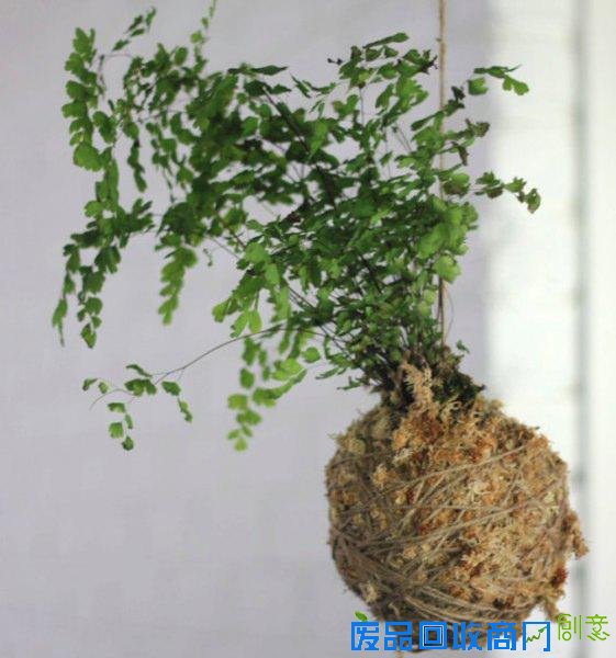 旧物创意改造,打造出属于自己的小花园