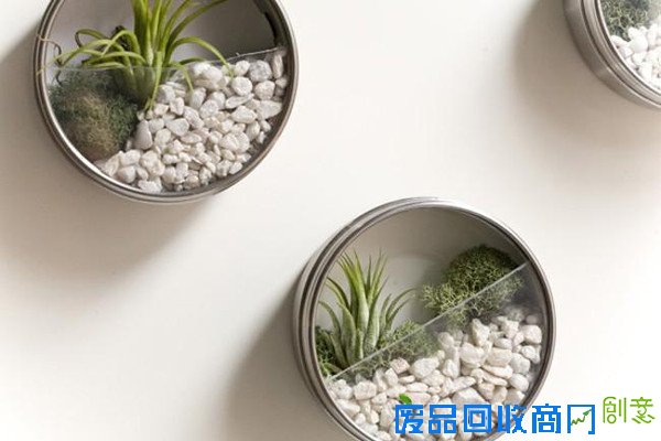 旧物创意改造,打造出属于自己的小花园