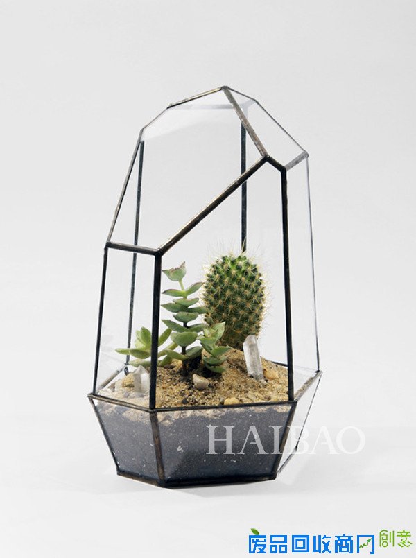 多些透亮多些空间，植物可以这样恣意生长！Matthew Clelandis设计的玻璃花盆一起