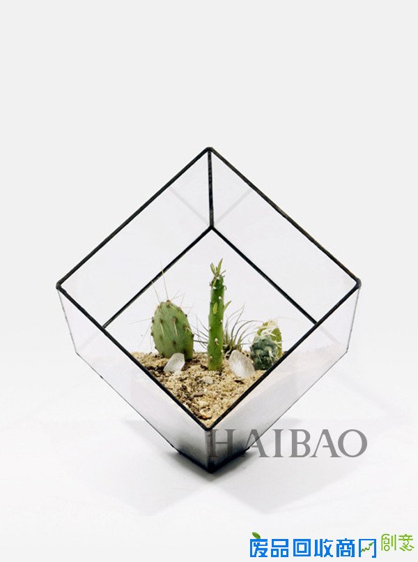 多些透亮多些空间，植物可以这样恣意生长！Matthew Clelandis设计的玻璃花盆一起