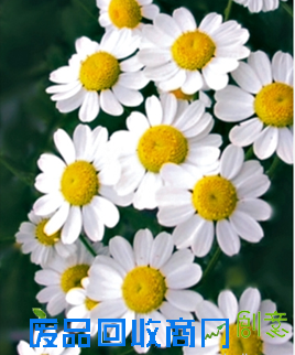 03母亲节妈妈的味道DIY母乳皂