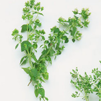 03母亲节妈妈的味道DIY母乳皂