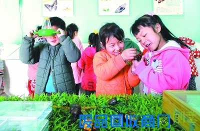 村小有个昆虫博物馆