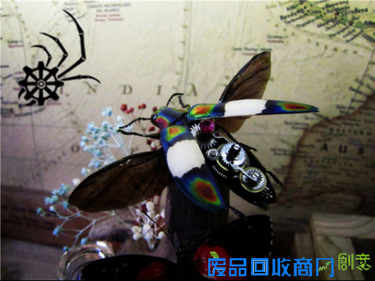 揭秘互联网八大神秘组织之一——百度贴吧蒸汽昆虫吧