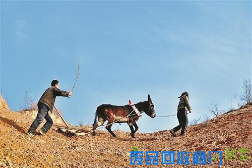 跟着《爸爸去哪儿》走进子洲