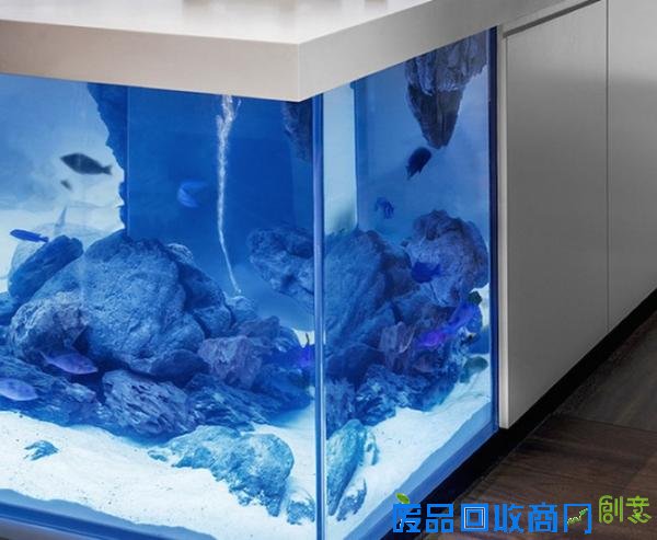  厨房与水族箱的结合