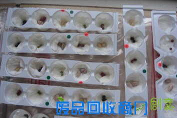 繽紛生活 樂趣多