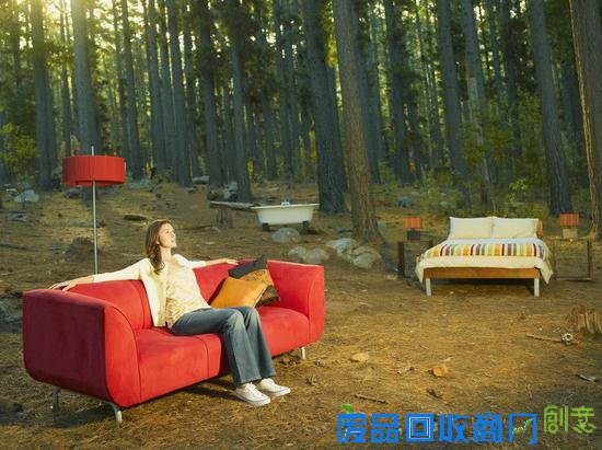 森林小屋测你孤独指数