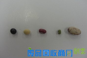 繽紛生活 樂趣多