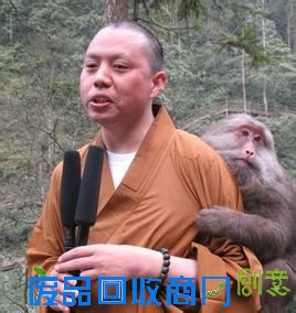 延参法师经典语录一