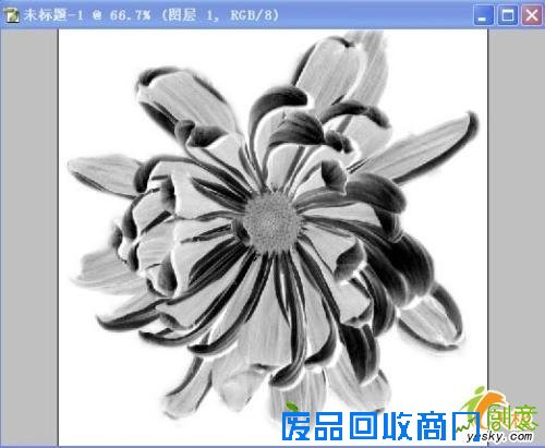 创意教程:用Photoshop把照片处理成剪纸