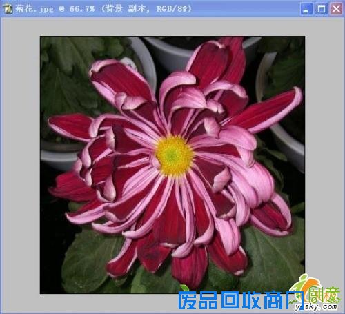 创意教程:用Photoshop把照片处理成剪纸