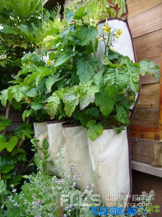 20个DIY妙招 教你利用废旧品打造出创意小花园