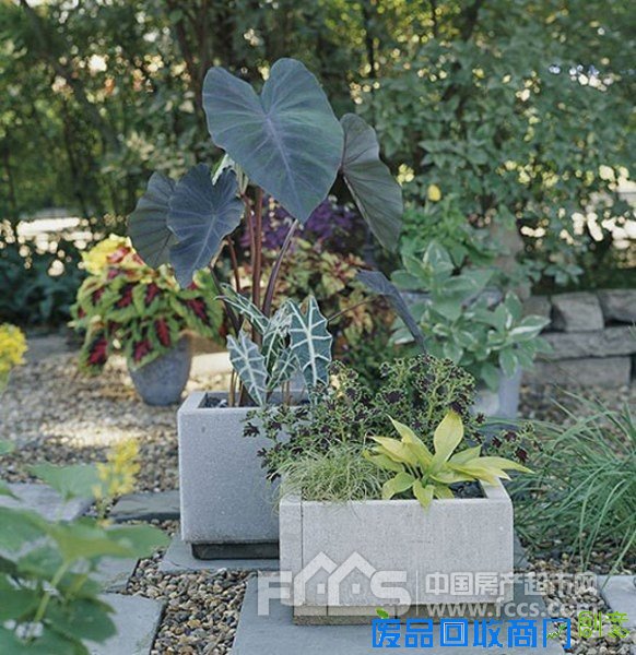 20个DIY妙招 教你利用废旧品打造出创意小花园