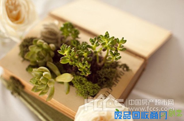 20个DIY妙招 教你利用废旧品打造出创意小花园