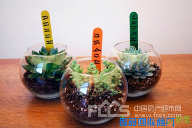 20个DIY妙招 教你利用废旧品打造出创意小花园