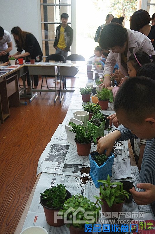 五·一创意盆栽DIY，畅享绿色生活