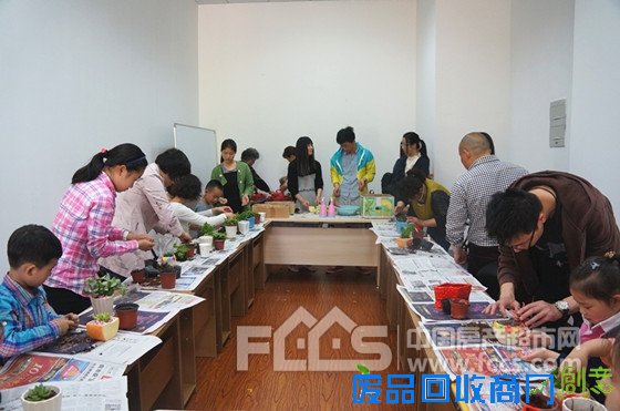 五·一创意盆栽DIY，畅享绿色生活