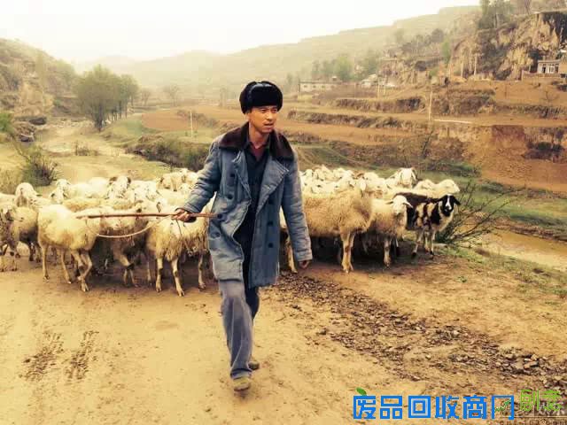 《平凡的世界》最走心的20句话，总有一句打动你