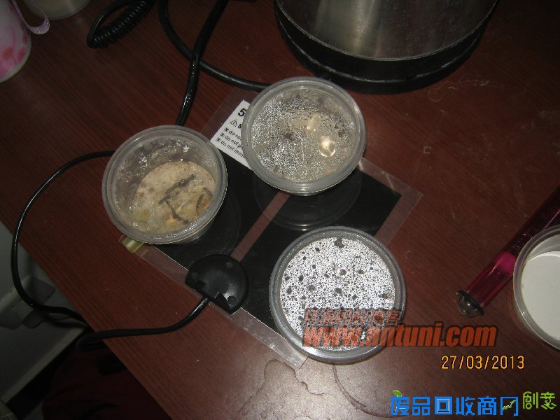 IMG_2555 猎镰猛蚁除螨记(1)