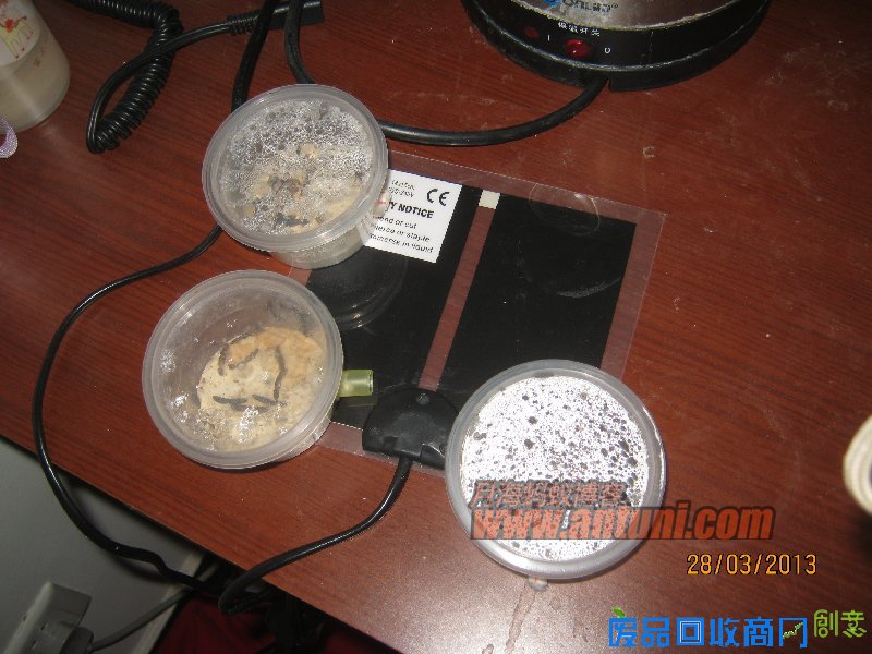 IMG_2556 猎镰猛蚁除螨记(1)