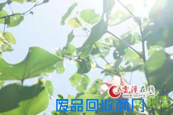 爱因简单而留香，情因平淡一世长