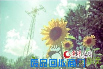 爱因简单而留香，情因平淡一世长