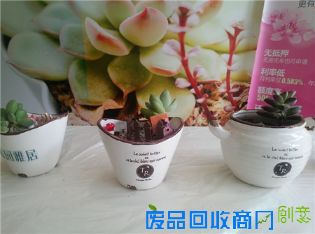 【缤纷活动】适园雅居多肉植物DIY完美落幕