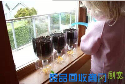 北京西城区人教你DIY会自动吸水的小盆栽！