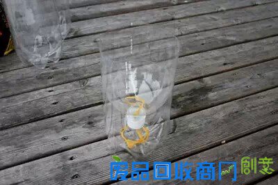 北京西城区人教你DIY会自动吸水的小盆栽！