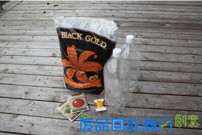 北京西城区人教你DIY会自动吸水的小盆栽！