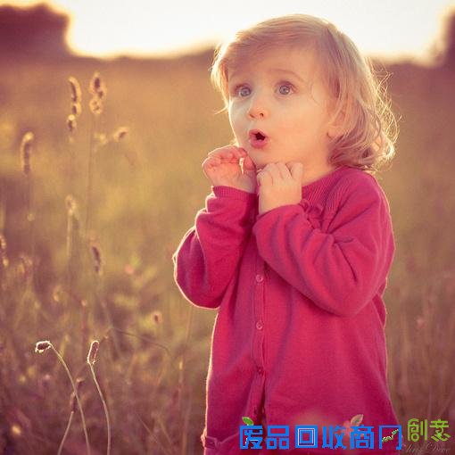 趣味测试：测你的呆傻程度