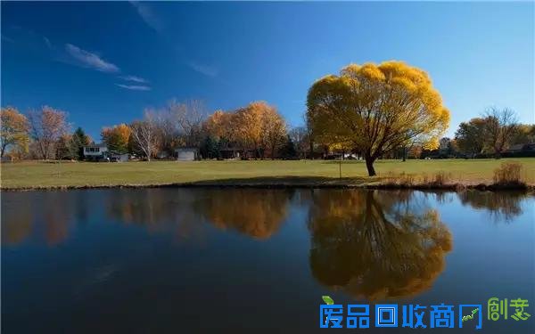 50句名人语录，经典!